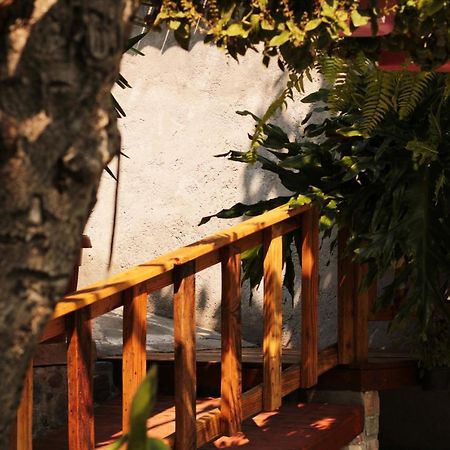 Casa Rustica Villa Atlixco Kültér fotó